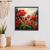 Diamond Painting -DIY Round Drill Poppy