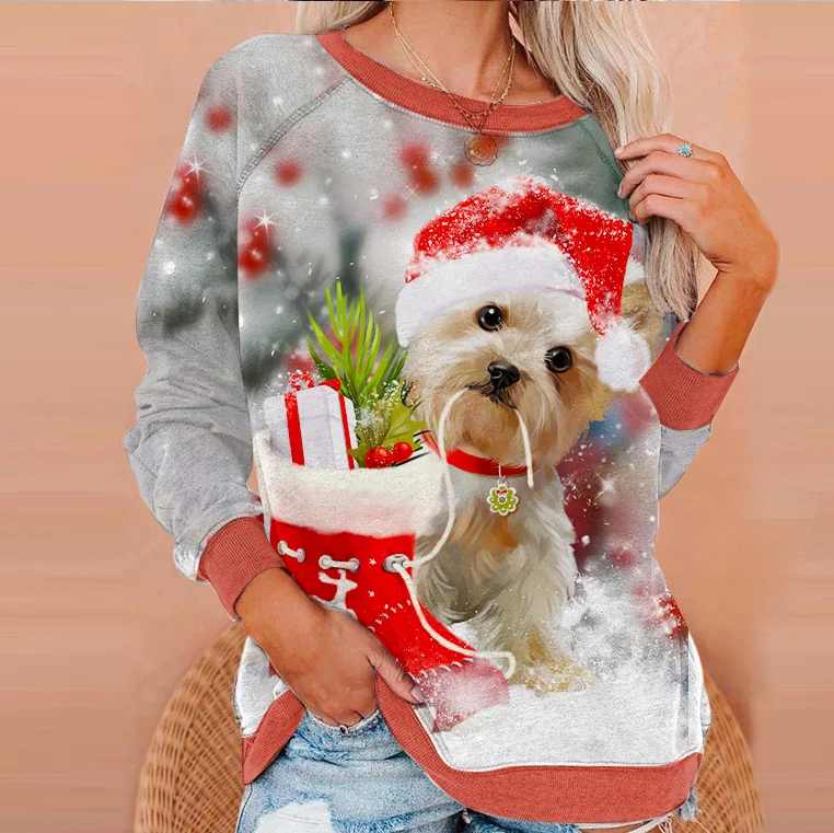 Little Cute Pet And Christmas Stocking Design Women Sweatshirt