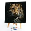 uk.everydayedeals (Limited Stock)Paint By Number - Oil Painting -  Leopard (40*40Cm)