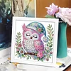 5D DIY Partial Special Shaped Drill Diamond Painting With Frame Kit Owl Decor 19.2x19.2cm