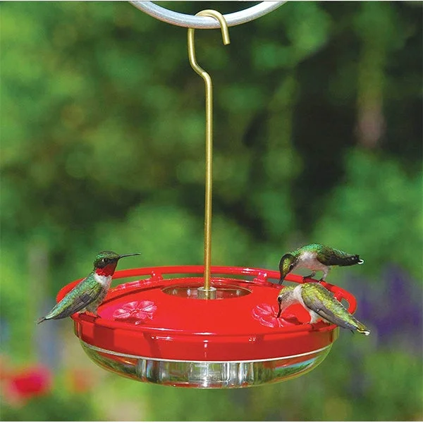 Hanging Hummingbird Feeder For Outdoors