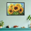 (Counted/Stamped)(Big Size) 11CT Sunflower- Cross Stitch  50*65cm/19.69*25.59in
