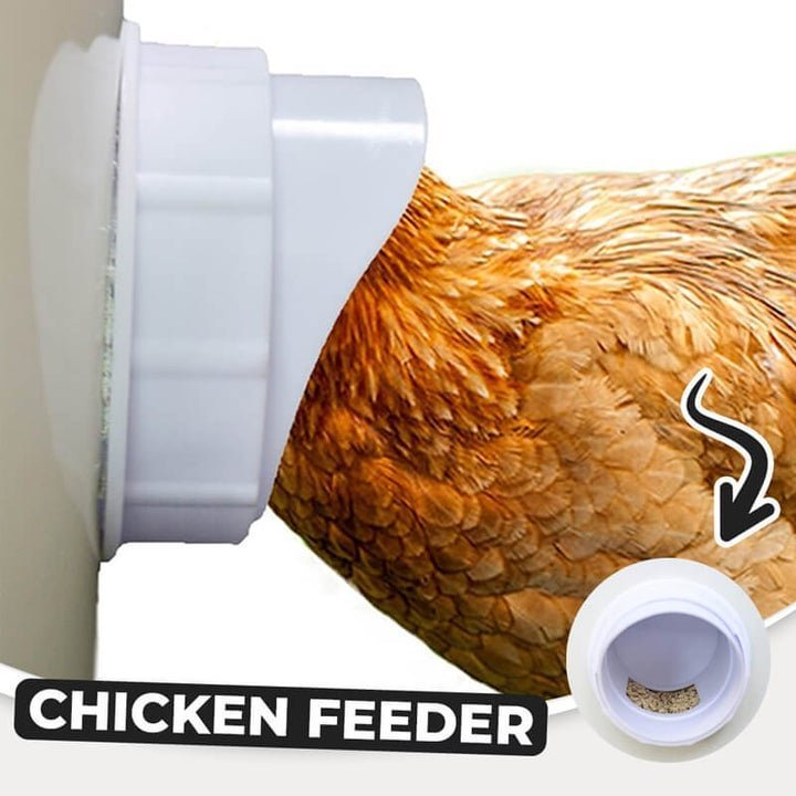 (2022 NEW)DIY Chicken Feeder (🔥promotion $9.99 Only Today!)