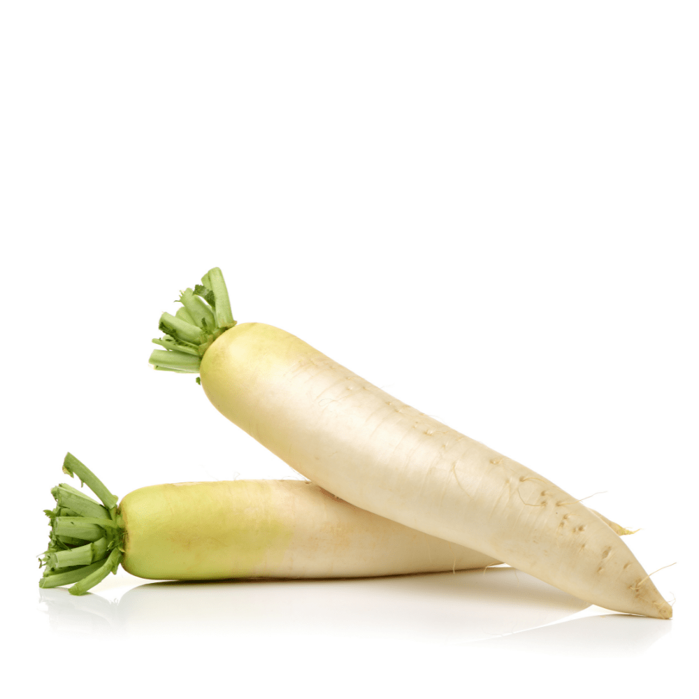 Heirloom White Radish (Mooli) Seeds &ndash; Crisp & Fast-Growing, Non-GMO