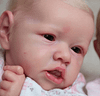 Babiesprincess Lifelike Reborn Baby Doll, Babiesprincess