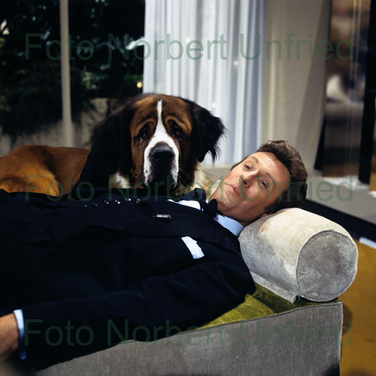 Peter Alexander - Saint Bernard Photo Poster painting 13 X 13 CM (Picture 500