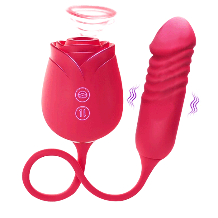 Rose Mary 2026 Dual Stimulator &ndash; Clit & G-Spot Pleasure Bodysafe Silicone By Rose Toy