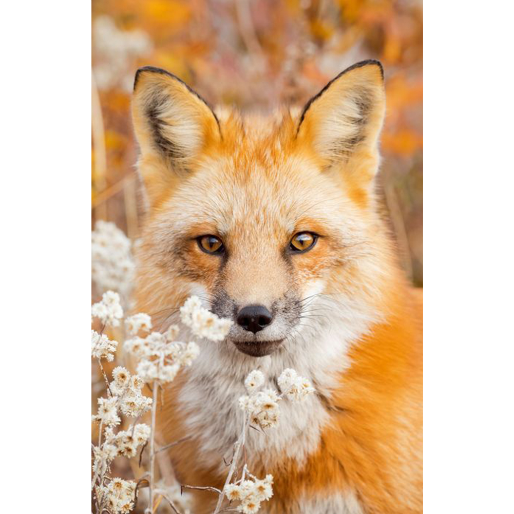 

Fox - 11CT Stamped Cross Stitch - 35*55CM, 501 Original