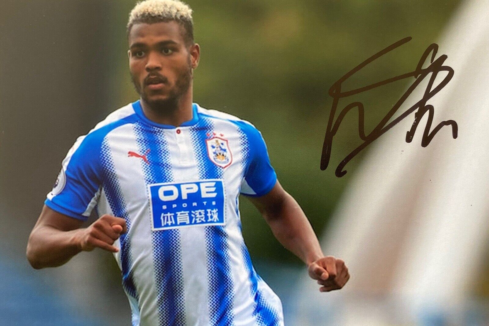 Steve Mounie Genuine Hand Signed 6X4 Photo Poster painting - Huddersfield Town