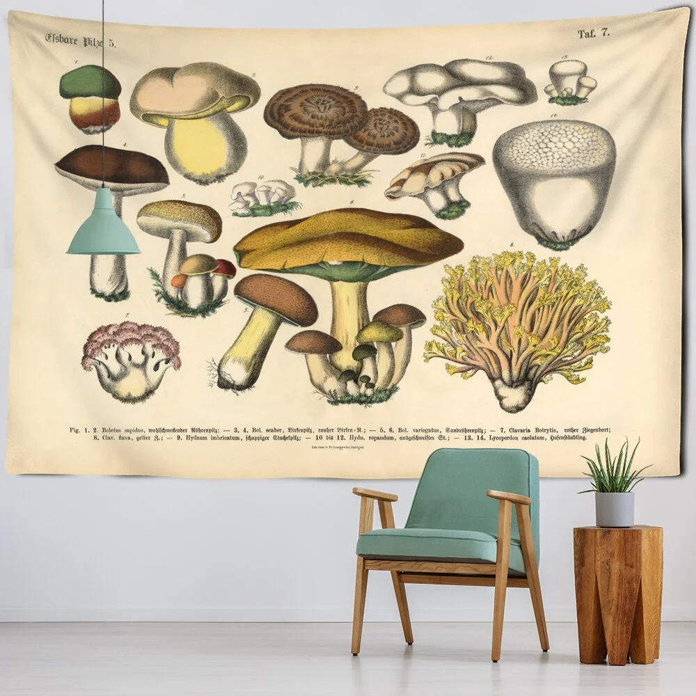 Mushroom Identification Chart Tapestry Wall Hanging Mycology Psychedelic Witchcraft Tarot Retro Home Decor