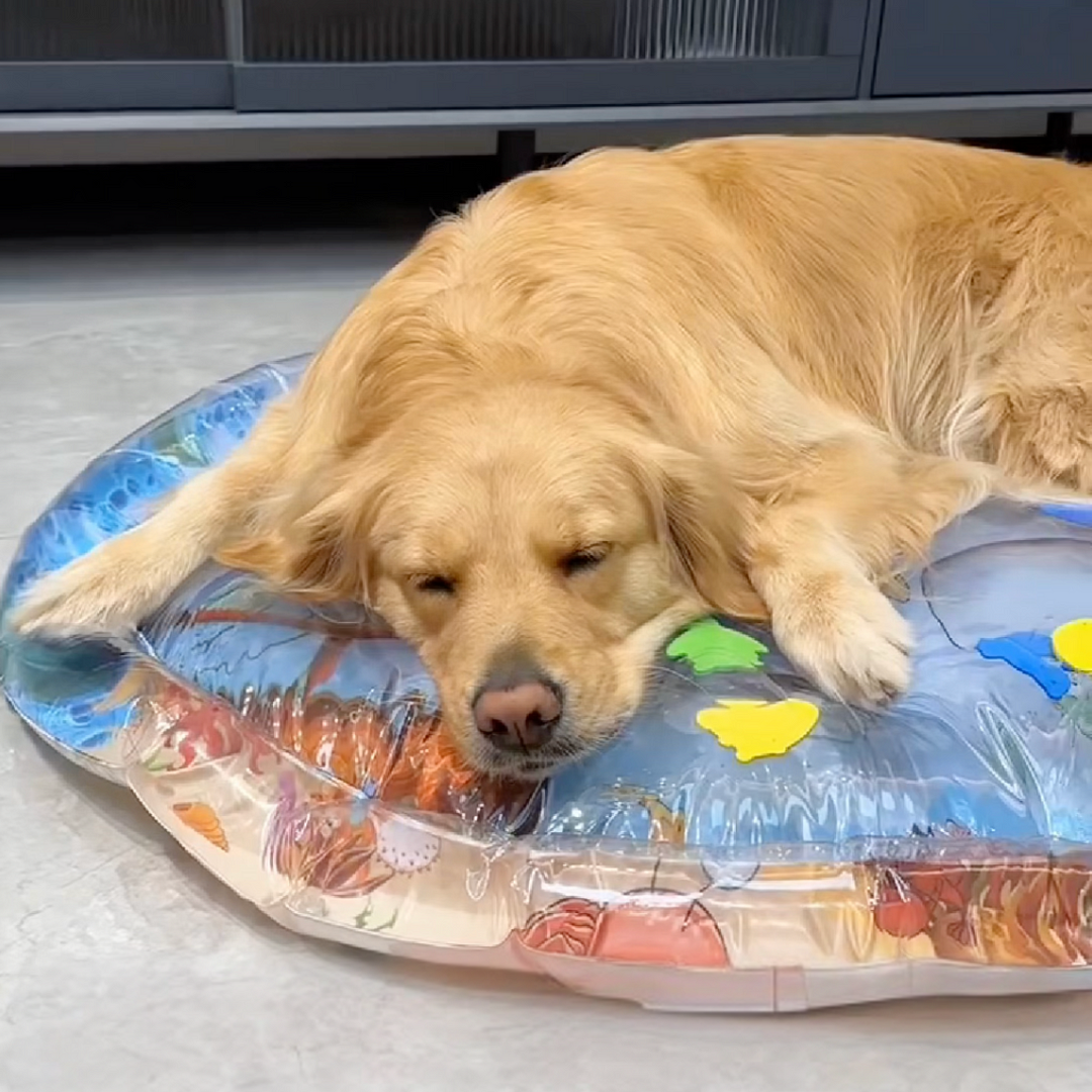 🔥Hot Sale 49% Off🔥Cooling Water Bed