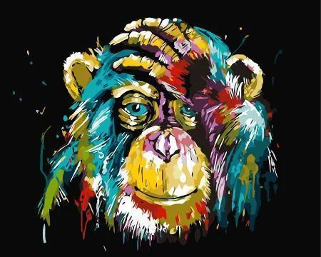 Animal Monkey Paint By Numbers Kits UK For Adult HQD1241
