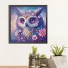 DIY Partial Special Shaped Drill Diamond Painting-Owl
