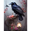 Diamond Painting-Square AB Drill Crow(45*35CM)