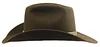 Sheriff Walter Longmire Hat