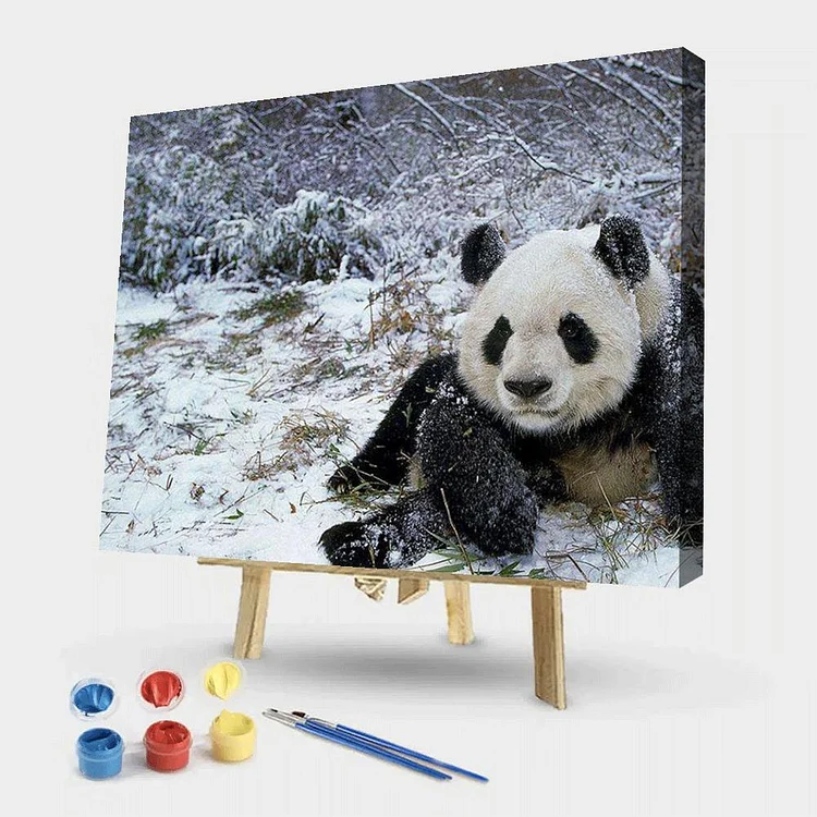 Panda - Painting By Numbers - 50*40CM gbfke