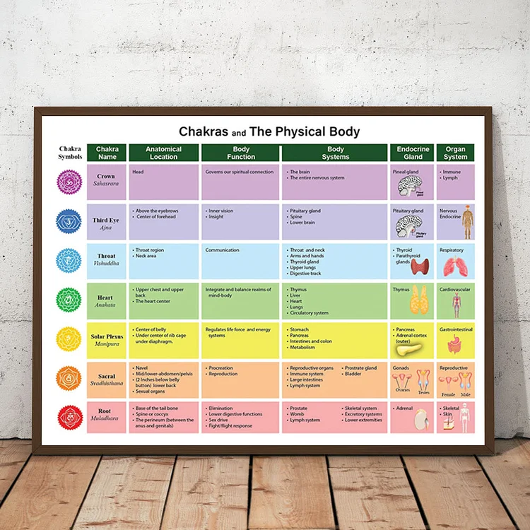 Olivenorma Chakras & The Physical Body Printable Chart Poster