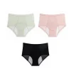 High Waist Leak Proof Ice Silk Panties Plus Size L-5XL