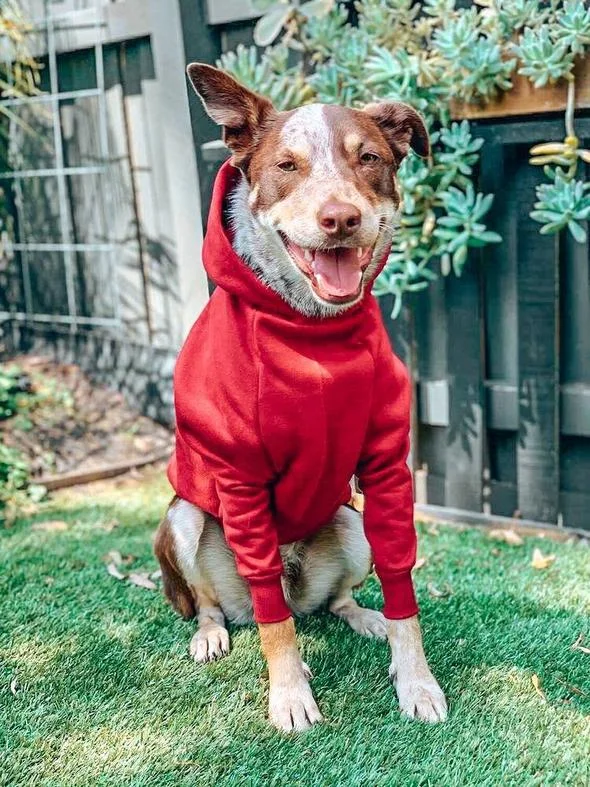 Red Matching Dog and Owner Hoodies