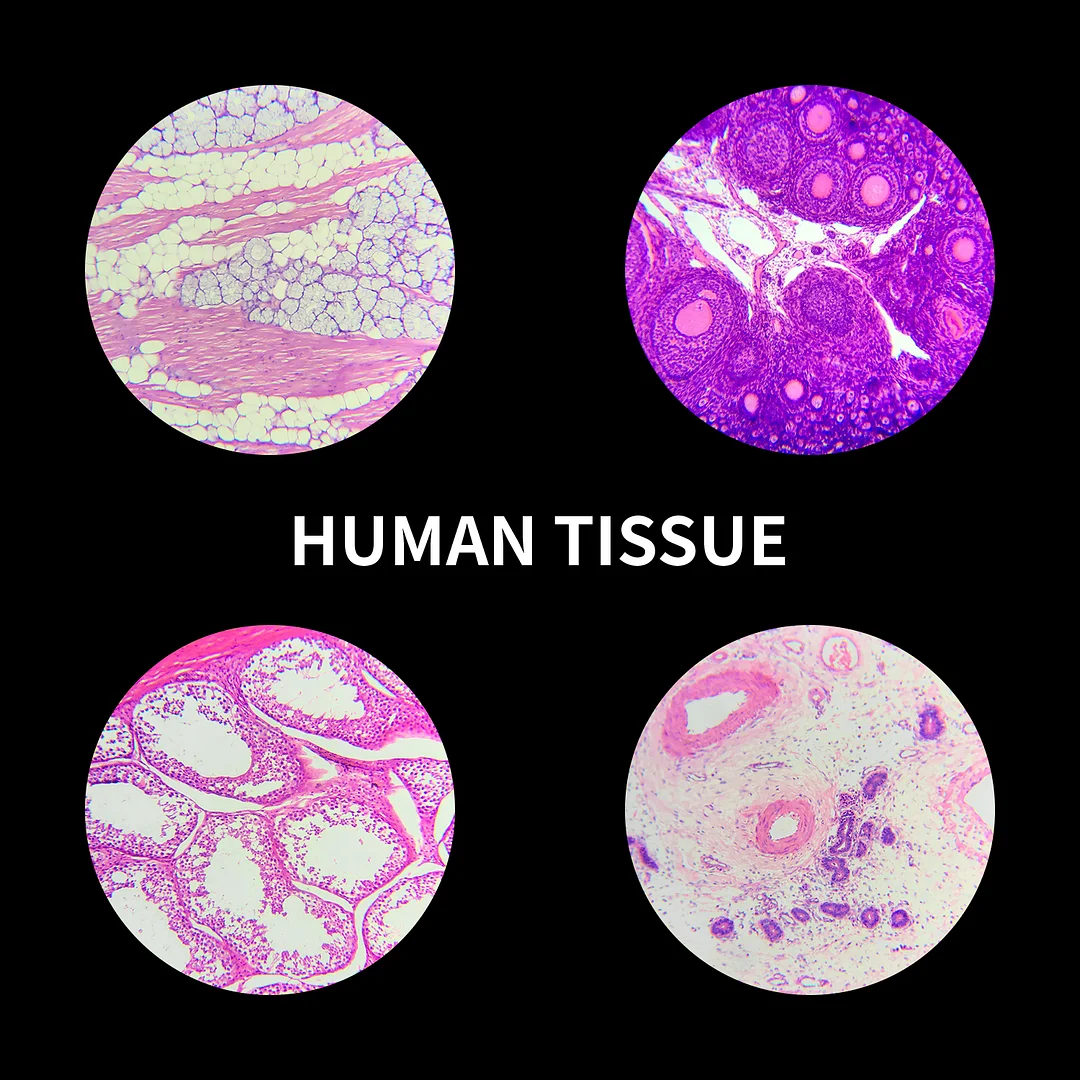 BEBANG 120Pcs Prepared Microscope Slides for Kids, Glass Microscope Slides with Specimens of Insect Plant Animal Bacteria Human Tissue Cell