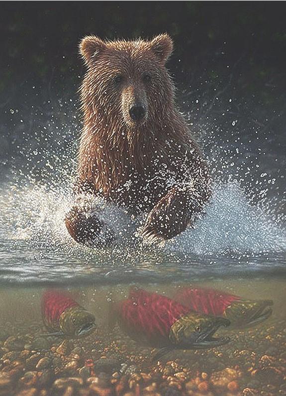 

Bear Catching Fish – Paint By Numbers - 40*50CM, 501 Original