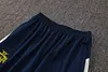 Joyfball 2025 Portugal Half-Pull Training Suit Royal blue Football Shirt