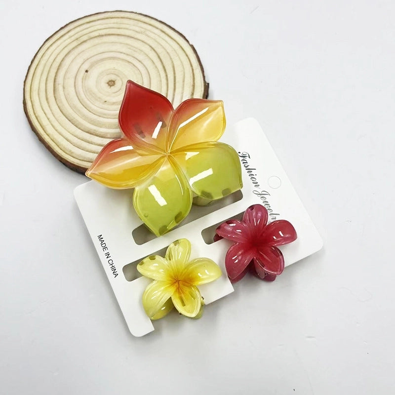 Vacation Modern Style Women’s Flower Resin Hair Claws