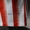 2025/2026 Player Version Inter Milan Special Edition Red Football Shirt 1:1 Thai Quality