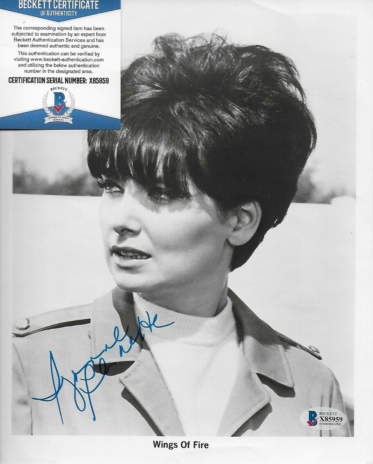 Suzanne Pleshette Original Autographed 8X10 Photo Poster painting w/Beckett COA