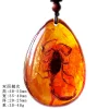 Insect Amber Pendant Natural Butterfly Specimen Insect Amber Necklace Children's Hanging Accessories
