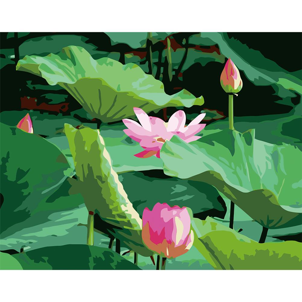 

40x50cm - Paint By Numbers Lotus, 501 Original