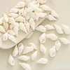 Natural Sea Shell Beads Pendants DIY Fashion Accessories