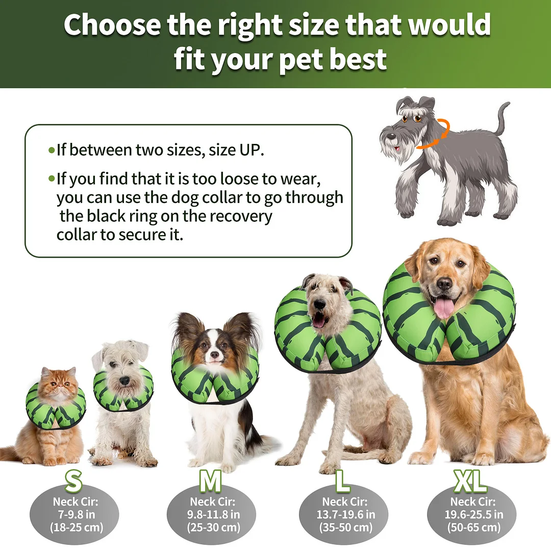 Protective Inflatable Collar for Dogs and Cats - Soft Pet Recovery Collar Doesn't Obstruct View, Small Size, Watermelon Look