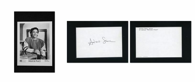 Andrew Shue - Signed Autograph and Headshot Photo Poster painting set - Melrose Place