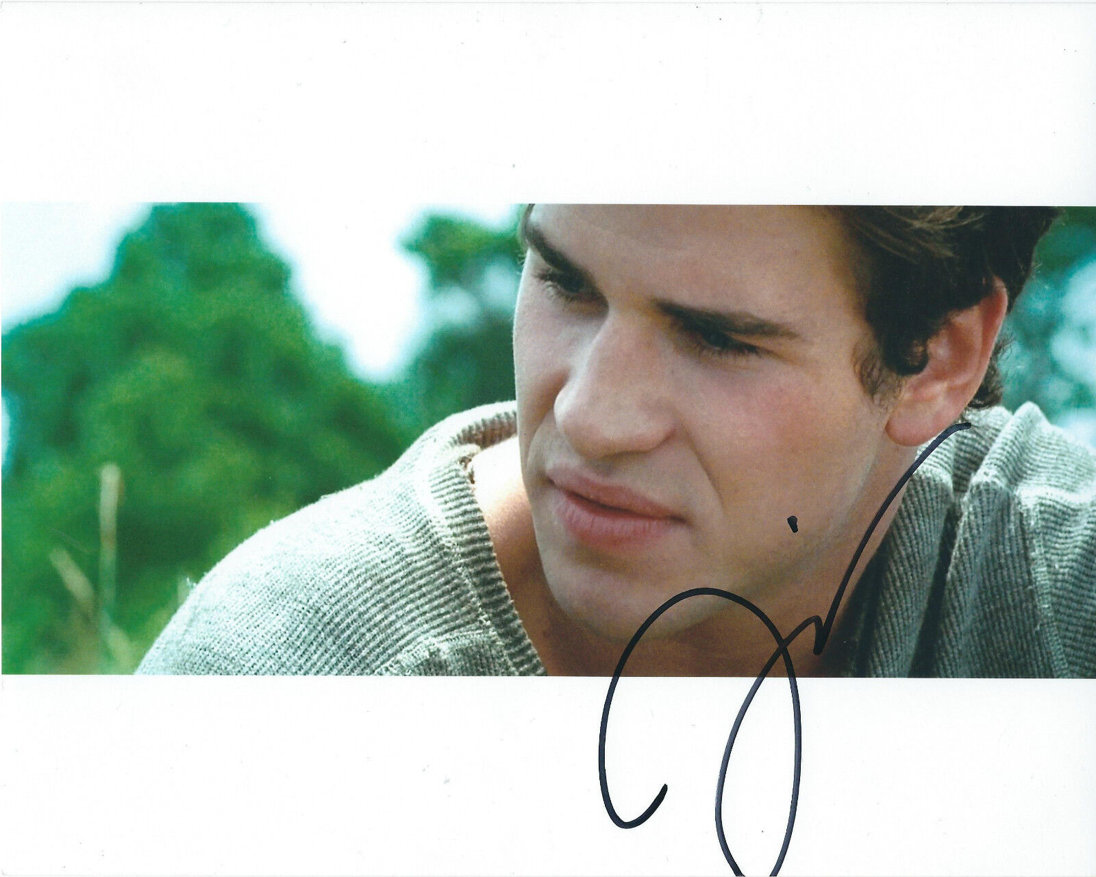 LIAM HEMSWORTH THE HUNGER GAMES AUTOGRAPHED Photo Poster painting SIGNED 8X10 #2 GALE HAWTHORNE