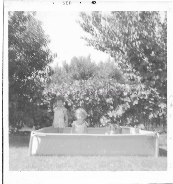 Backyard Pool Kids FOUND Photo Poster paintingGRAPH B&W EARLY 60′s CHILDREN Snapshot 21 63 V