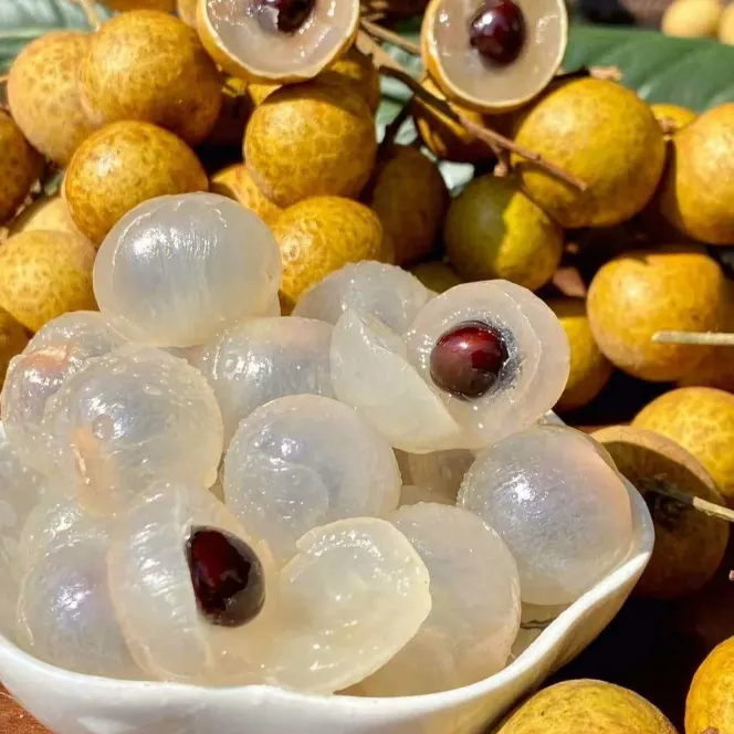 🍈 Grow Your Own Longan Tree &ndash; Fresh Seeds