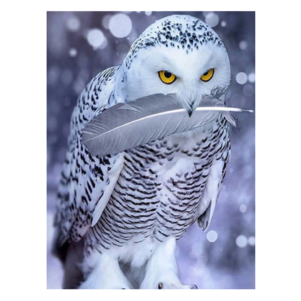 

40*50CM - Square Drill Diamond Painting - Owl, 501 Original