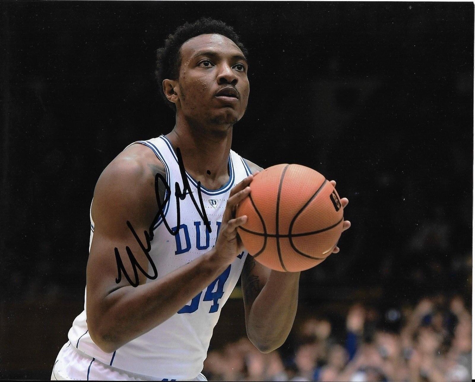 WENDELL CARTER JR signed auto DUKE BLUE DEVILS, CHICAGO BULLS 8X10 Photo Poster painting w/COA