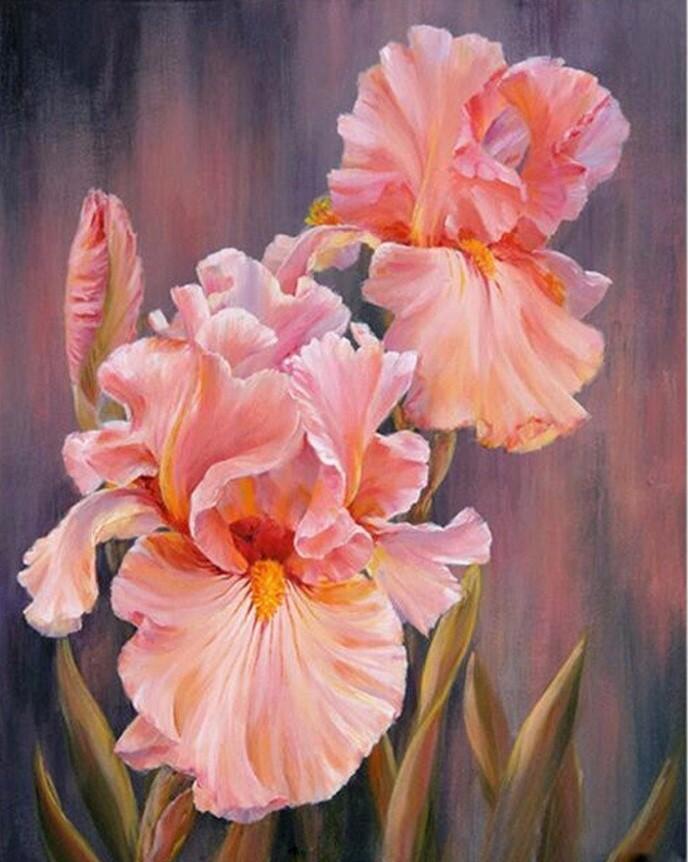 

Rose Flower Hand Painted Abstract Oil Painting – Paint By Numbers - 40*50CM, 501 Original