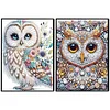 2pcs Owl Partial DIY 50 Pages A5 Diamond Painting Notebook for Study Drawing