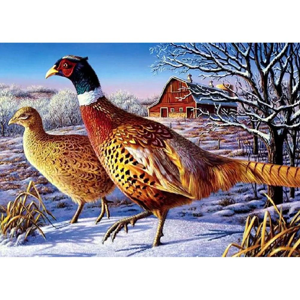 Full Round Diamond Painting Dove (40*30cm)