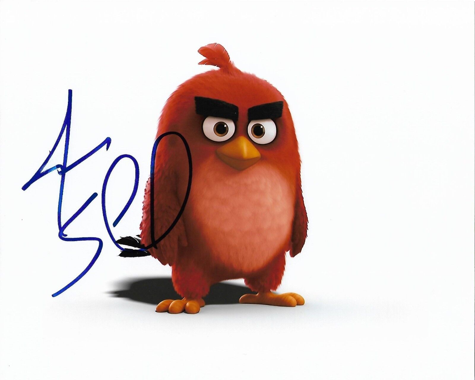 JASON SUDEIKIS ANGRY BIRDS AUTOGRAPHED Photo Poster painting SIGNED 8X10 #1 RED