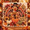 DIY Special Shape Diamond Painting Pearl Art With Inner Frame Kit 30x30cm(Turkey)