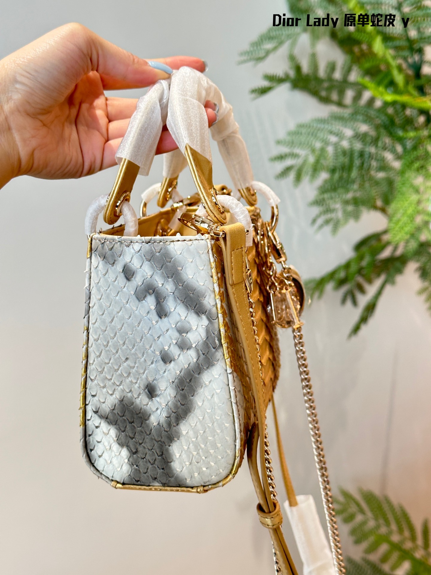 44dc246a4f8c8bdeb53c1fd0fe7344d7