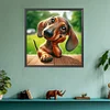 (US Only)Paint By Numbers Kit On Canvas DIY Oil Art Dachshund Picture Home Decor40x40cm
