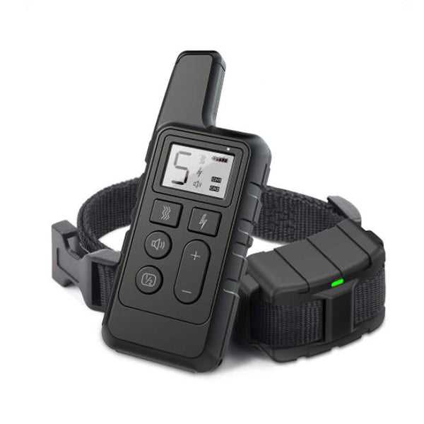 Best Dog Shock Training Collar