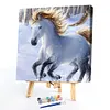 uk.everydayedeals (Limited Stock)Paint By Number - Oil Painting -  Horse (40*40Cm)