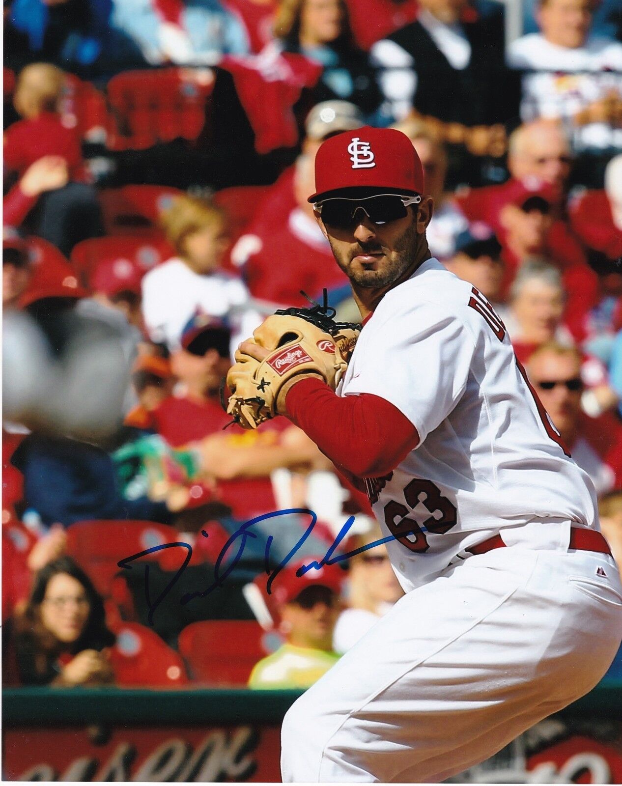 DANIEL DESCALSO ST. LOUIS CARDINALS ACTION SIGNED 8x10