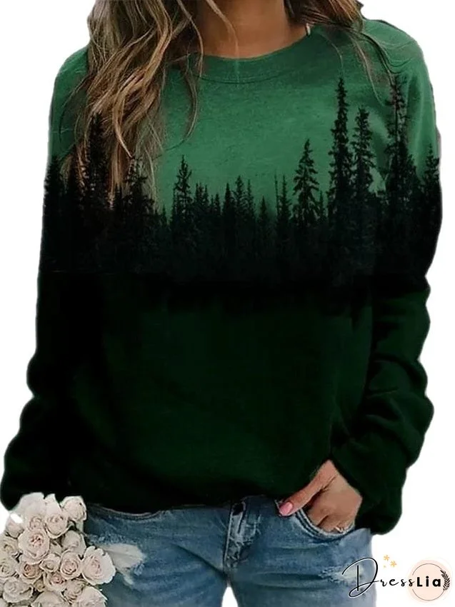 Hoodie Sweatshirt Pullover Casual Blue Green Gray Color Block Loose Fit Daily Round Neck Long Sleeve for Women